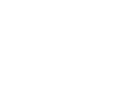 体育赛事策划
